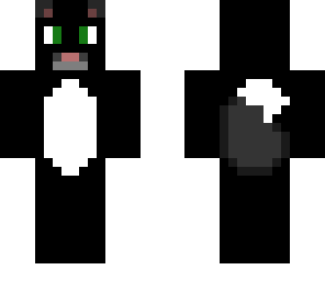 black cat