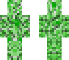 slender creeper
