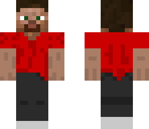 the new minecraft steve