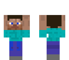 mini steve
