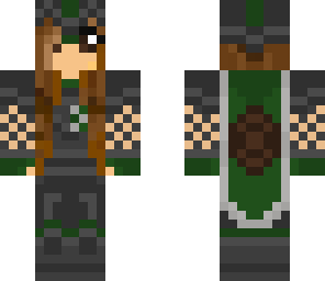 turtle knight