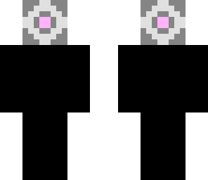 companion cube