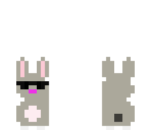 cool bunny