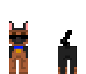 swag dog