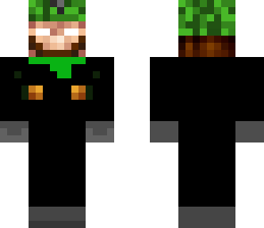 the luigi