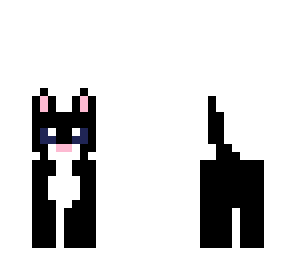 black cat