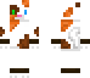 calico cat