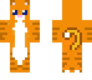 pumpkin cat