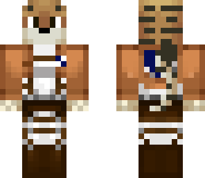 attack on tiger