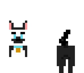 border collie
