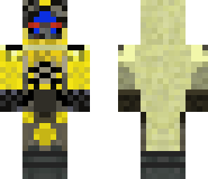 destiny skin