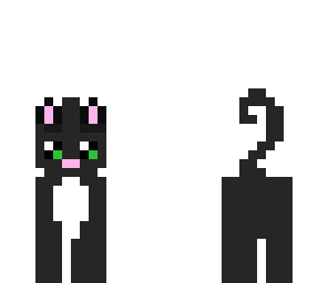 black cat partly transparent