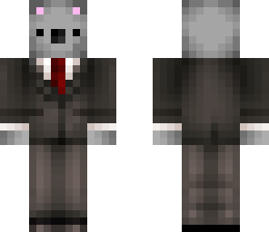 fancy koala