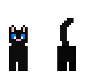 black cat