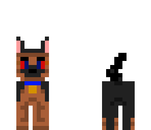 perro