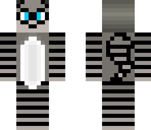 raccoon