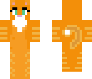 kitty cat