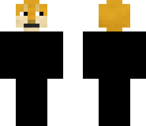 ninja doge
