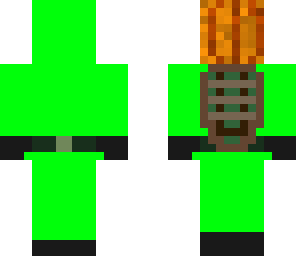 turtle 3