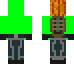 turtle5