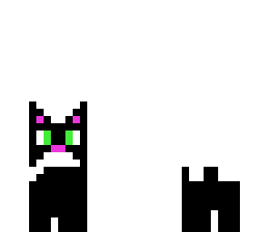 the tiny black cat