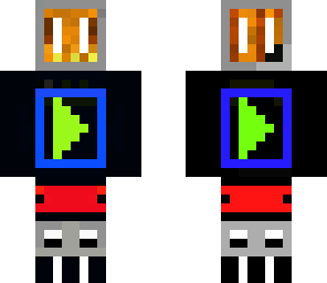 the computer