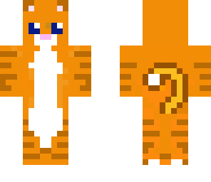 baby pumpkin cat
