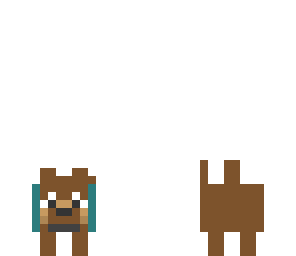 brown puppy