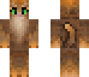 pumpkin cat
