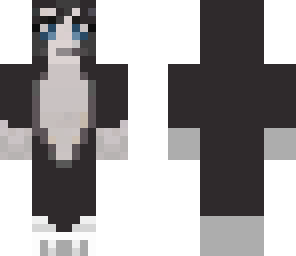 black stampy cat