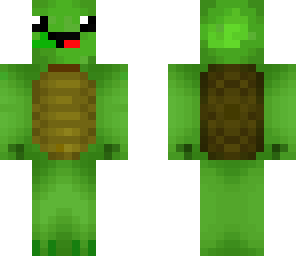 cute turtle