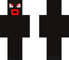 the shadow