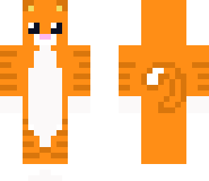 adorable orange kitten skin