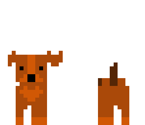 cute puppy
