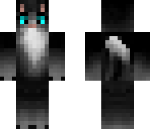 black cat