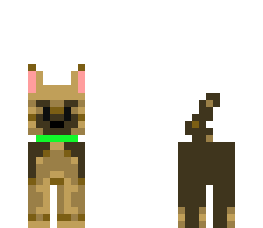 doggy