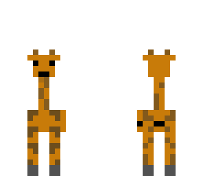 giraffe