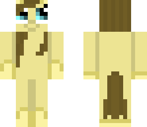 pony skin