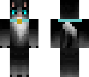 black cat with colar