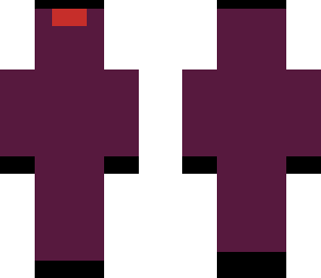 mr endermite