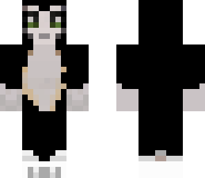 black stampy cat