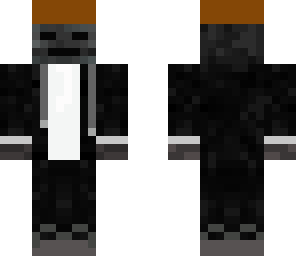 hudsons skin