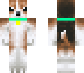 beagle with blue collor
