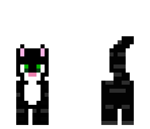gato