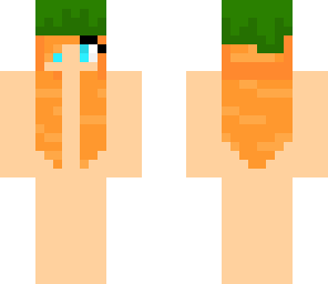 carrot hair-base