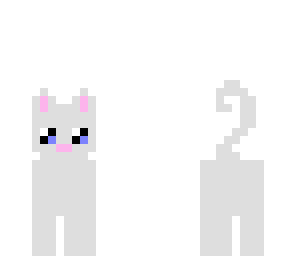 cute white cat