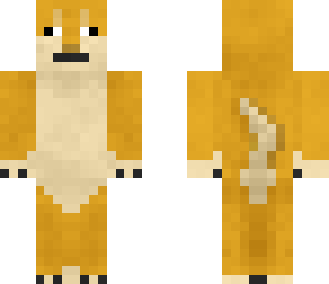 such doge very wow