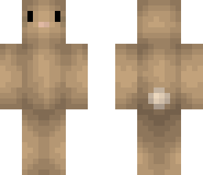 bunny