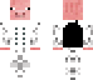 spacepig128