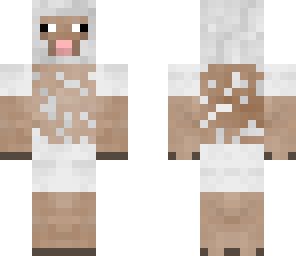 sheep